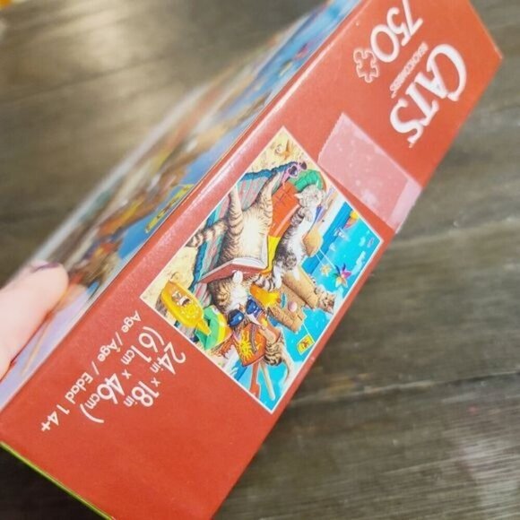 Buffalo Cats Beachcombers 750 Piece Jigsaw Puzzle - Picture 4 of 7